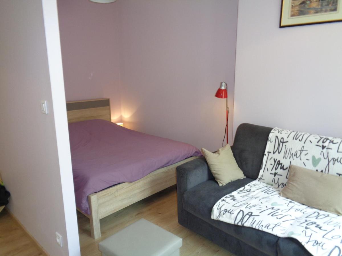 Au Puy Saint Jacques Apartment Le Puy-en-Velay Екстериор снимка