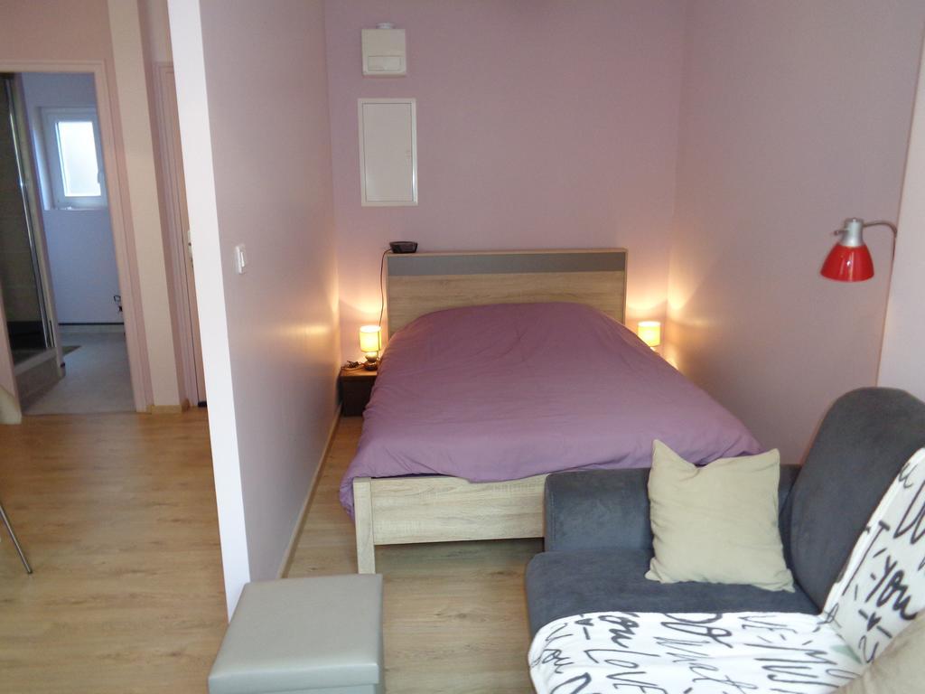 Au Puy Saint Jacques Apartment Le Puy-en-Velay Екстериор снимка
